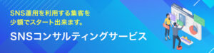 SNSコンサルティング