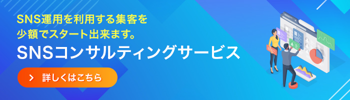 SNSコンサルティング